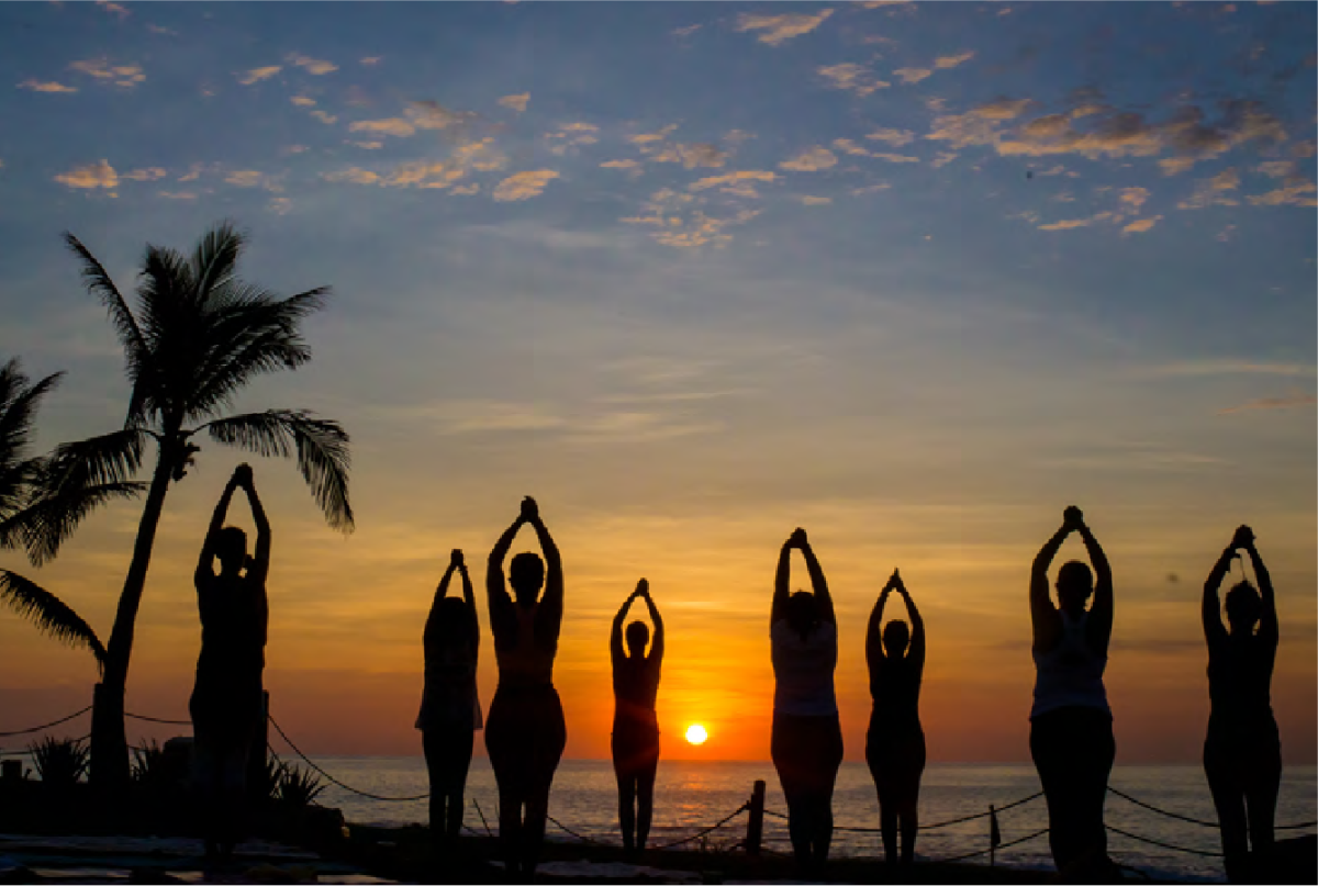Wellness by the sea of cortez