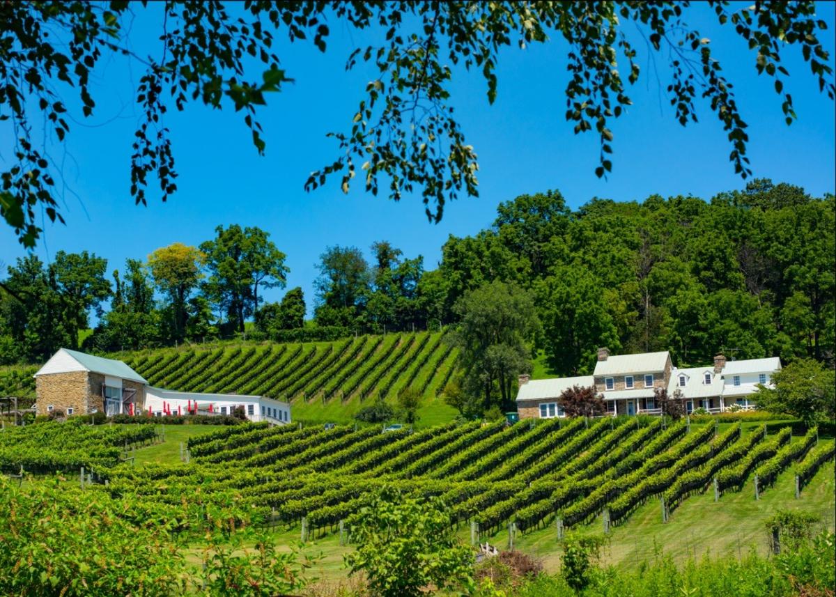 Winery and cheap brewery near me
