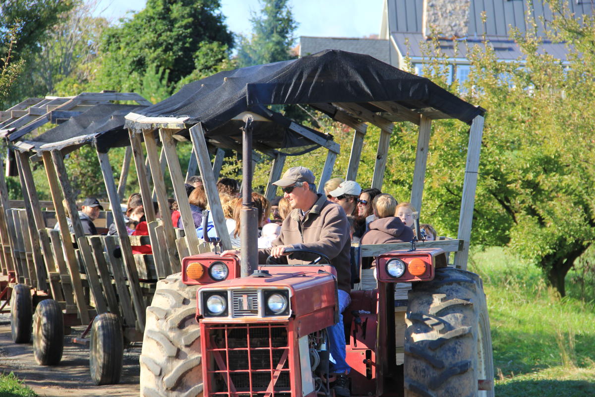 Great Country Farms, image size:1200x800