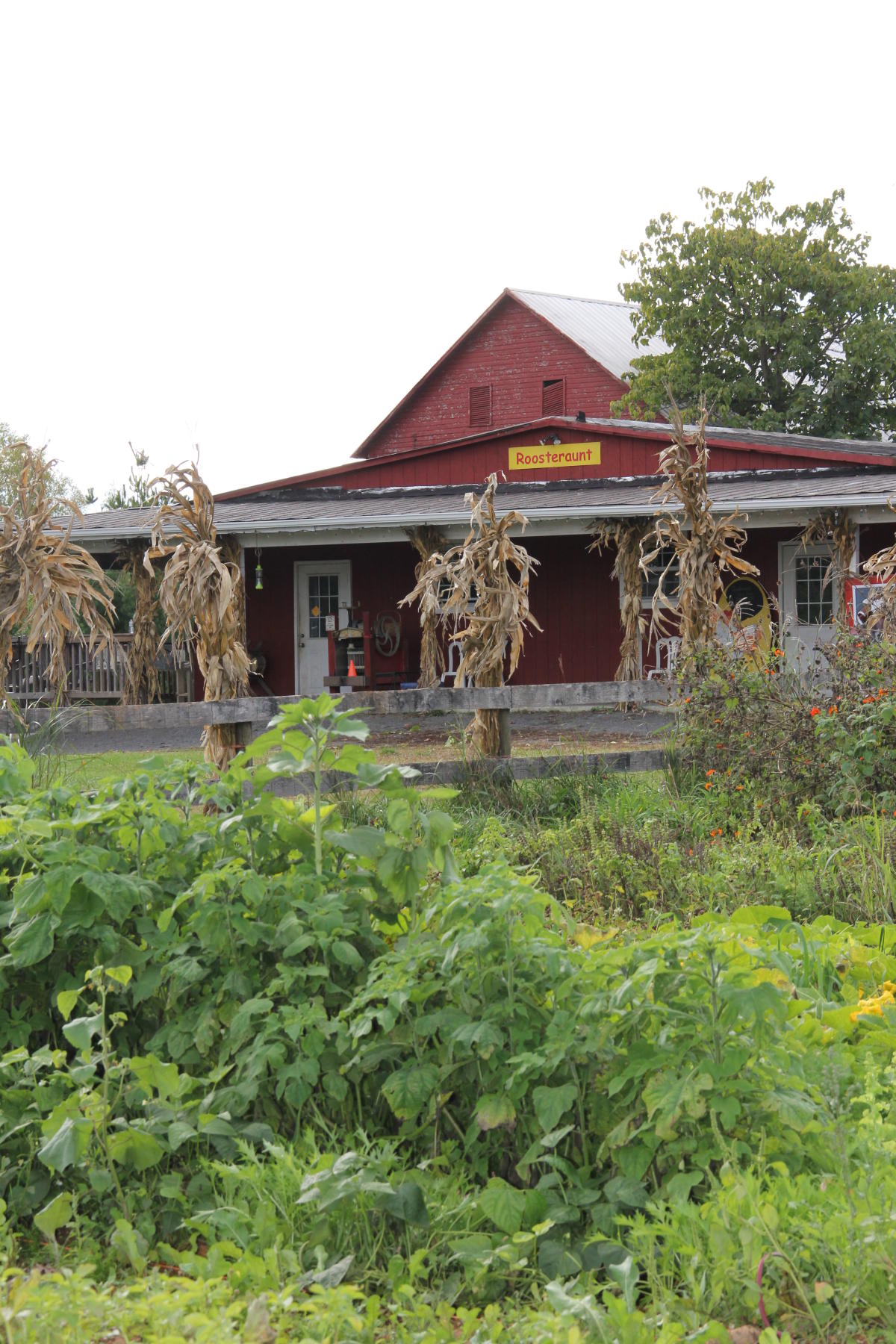 Great Country Farms Bluemont, VA 20135
