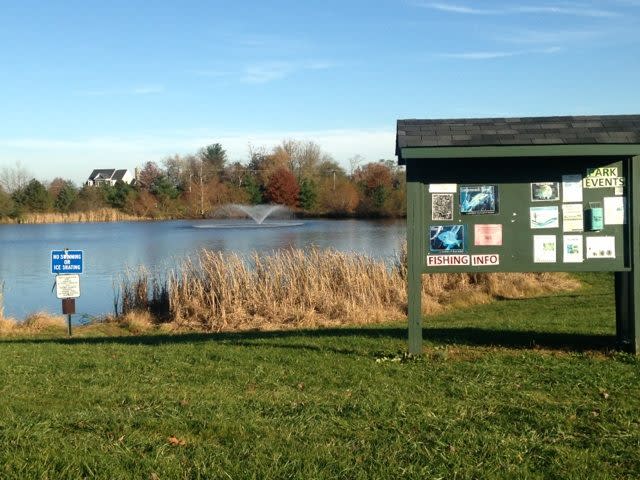 Summer Activities in Loudoun County Virginia. Fishing at Franklin Park