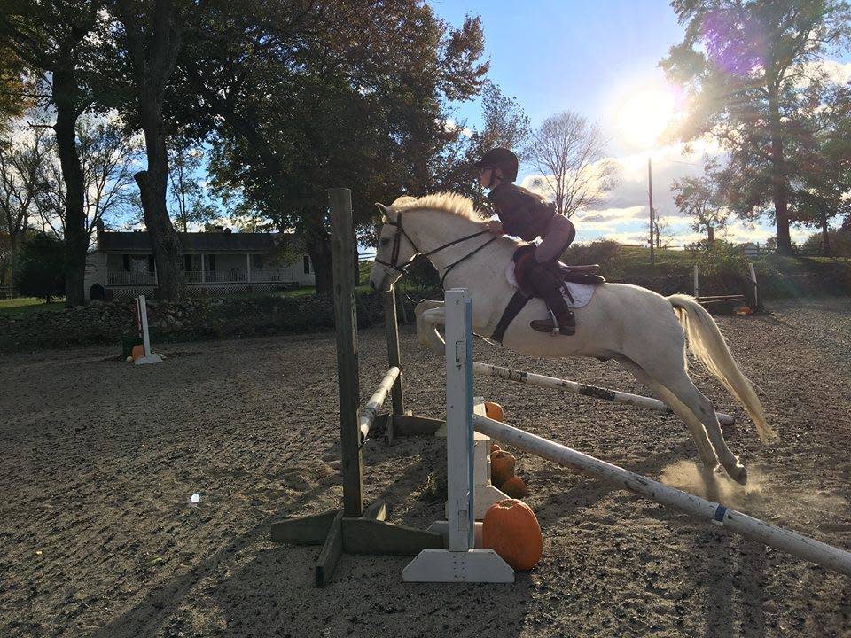 Rowebuck Stud Isfield Riding School and Stables opening times and reviews