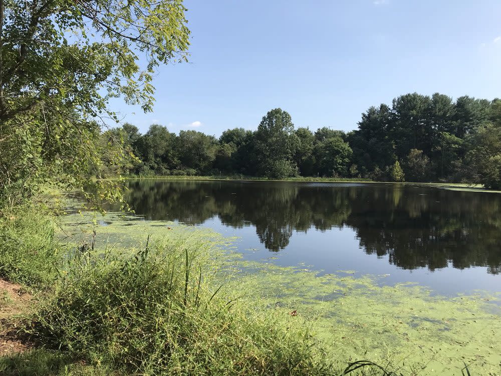 Isaak Walton Park