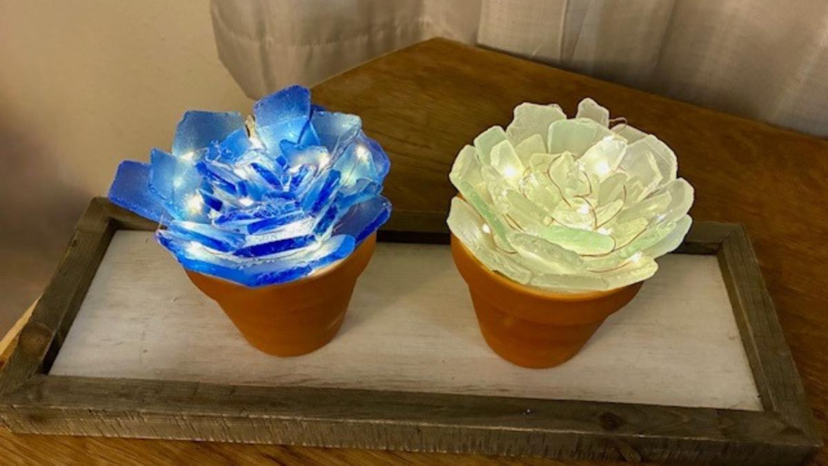 large garden pots with plants Lucy