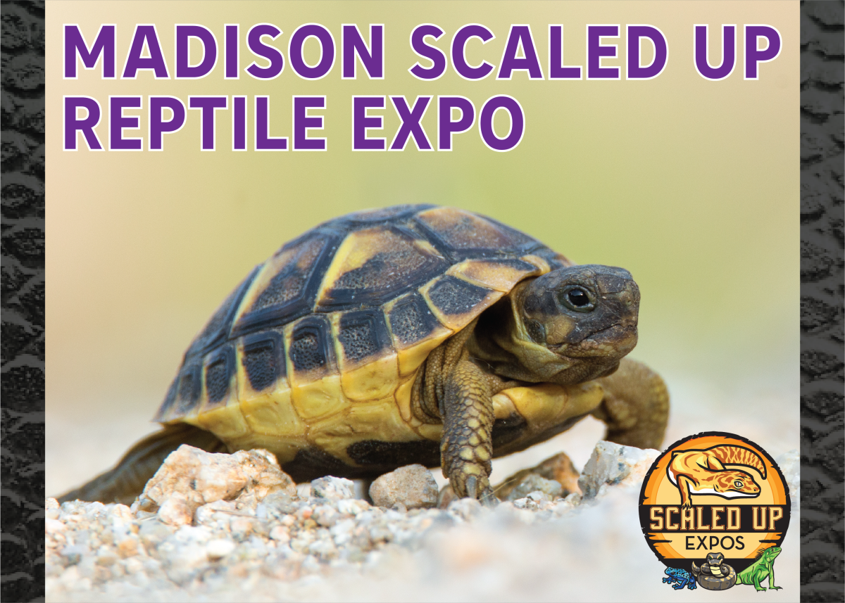 Scaled Up Reptile Expo Middleton, WI
