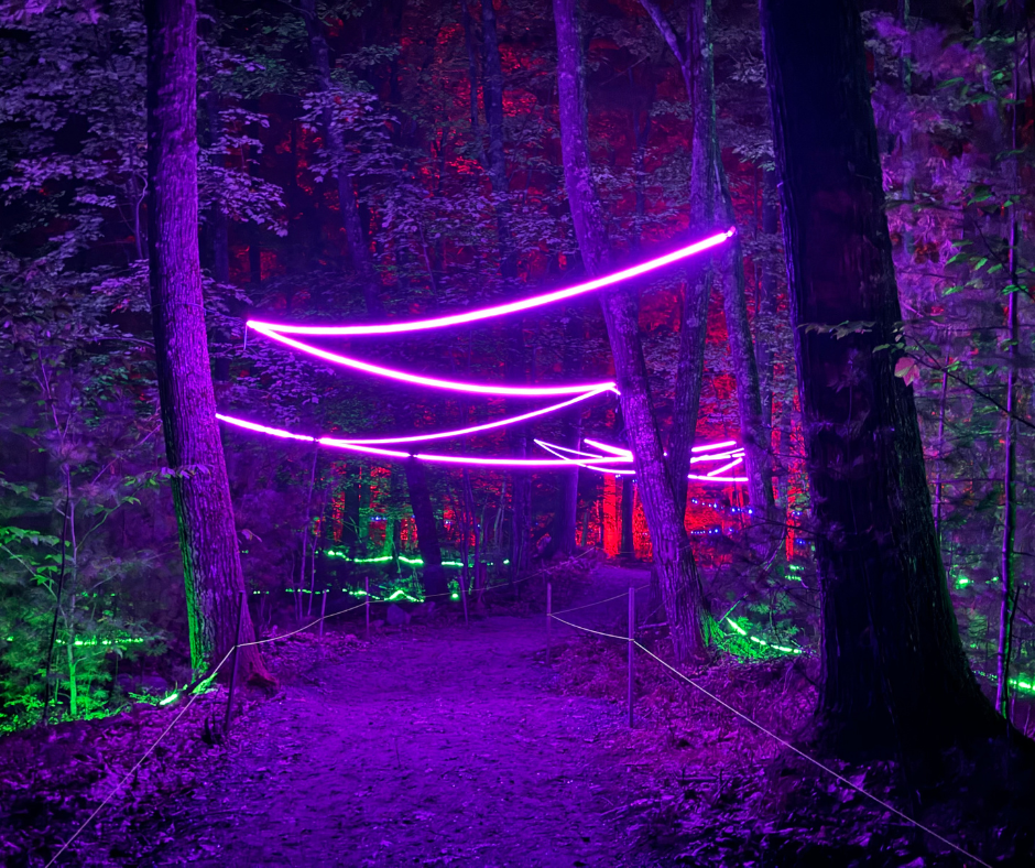 bina/ビーナ MARLEY/マーレイ 3連パーテーション ミッドセンチュリー bina/ビーナ MARLEY/マーレイ 3連パーテーション ミッドセンチュリー