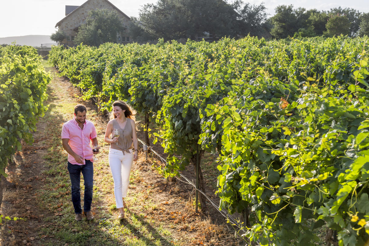 Perissos winery hot sale