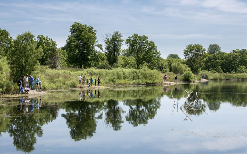 The Hollows Conservation Area
