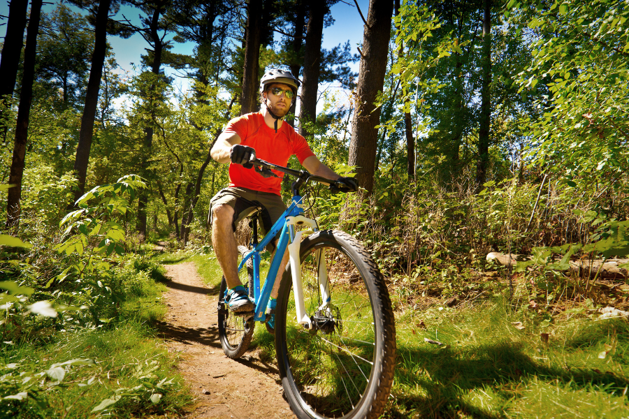 Owasippe Scout Reservation Trails