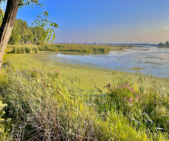 Tally Ho! Nature Adventure Awaits: Marshlands at Muskegon Lake