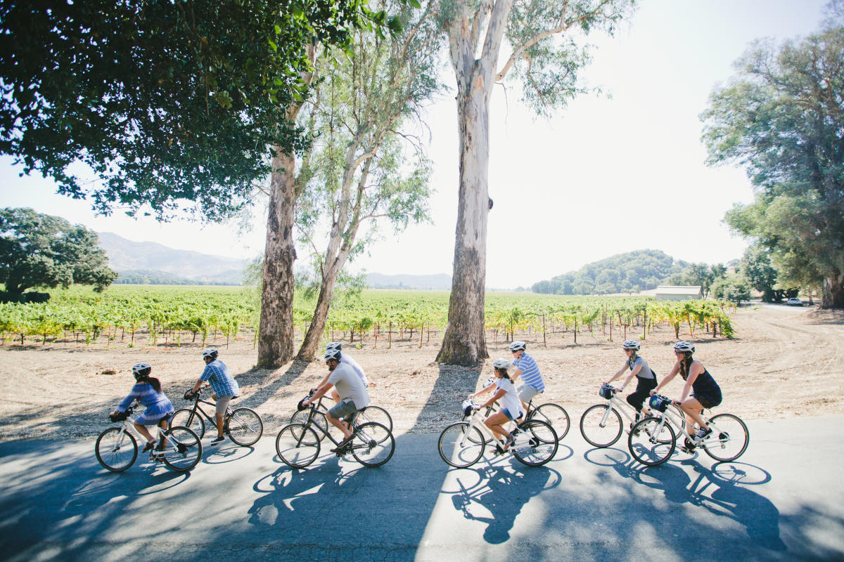 Napa Valley Bike Tours Rentals Yountville CA 94599