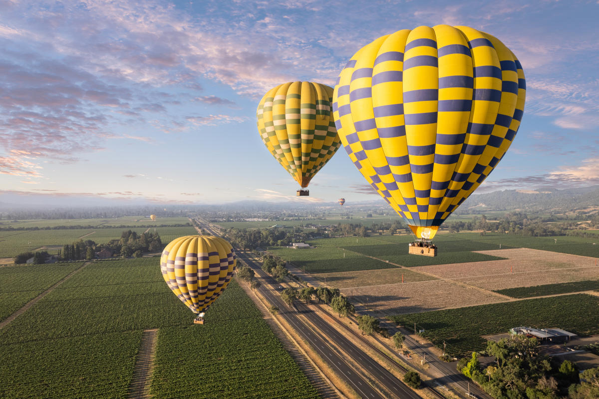 Balloons Above The Valley Napa CA 94559