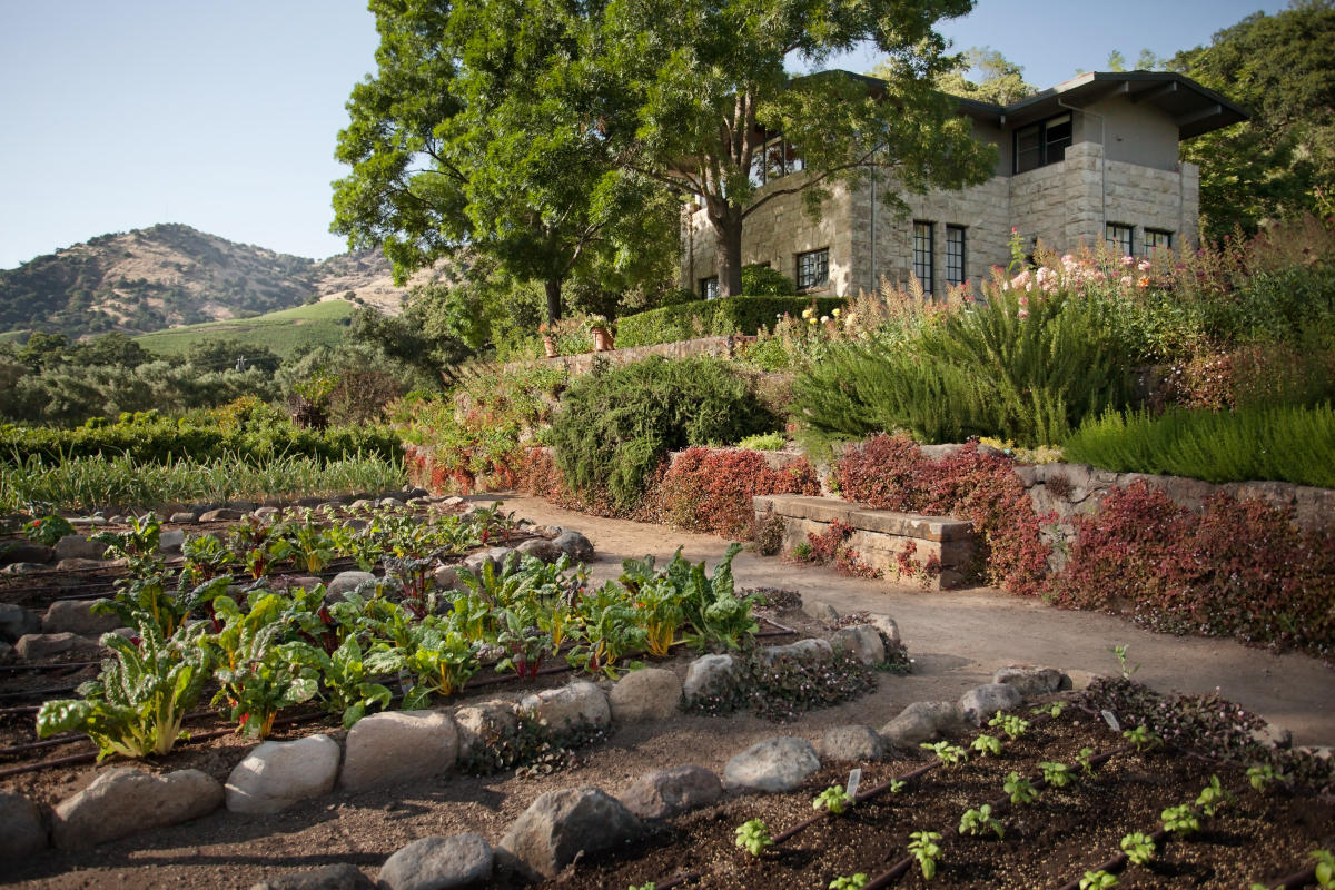 Stags' Leap Winery | Napa, CA 94558