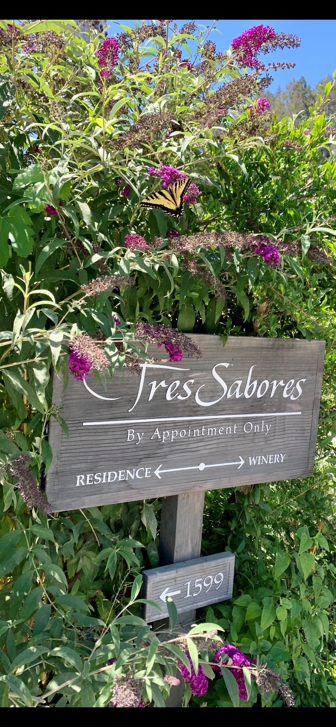 Tres sales sabores winery