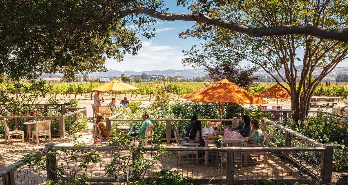 Saintsbury winery hotsell