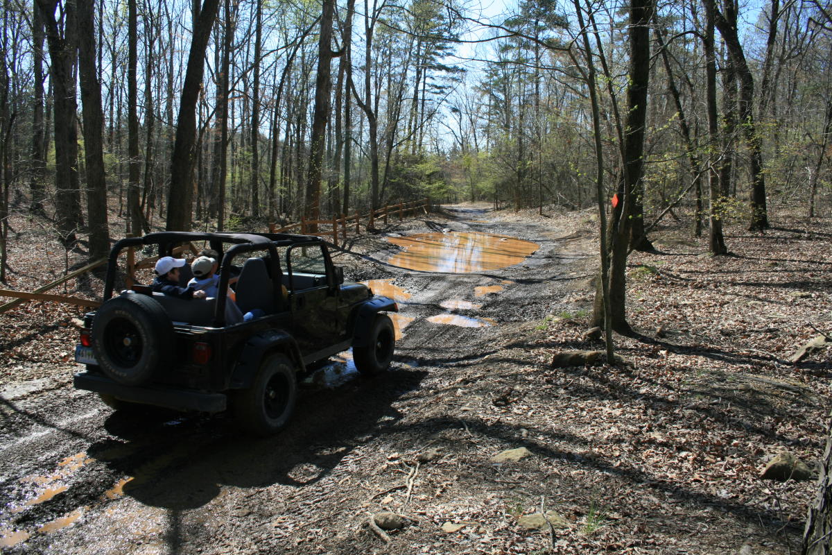 Uwharrie national sales forest hiking trails