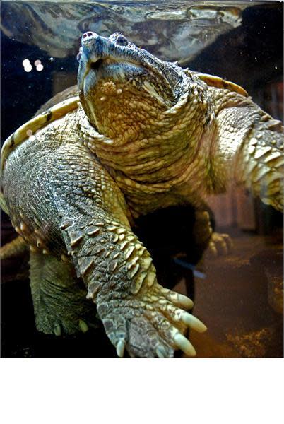 Museum Of Nature & Science Location