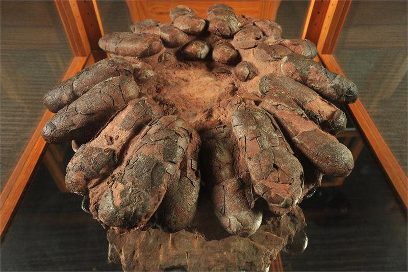 Zuhl Museum: Home of the Zuhl Collection | Las Cruces, NM 88003