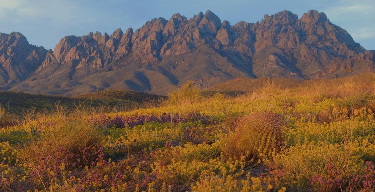 Organ Mountain-Desert Peaks National Monument | Las Cruces, NM 88005
