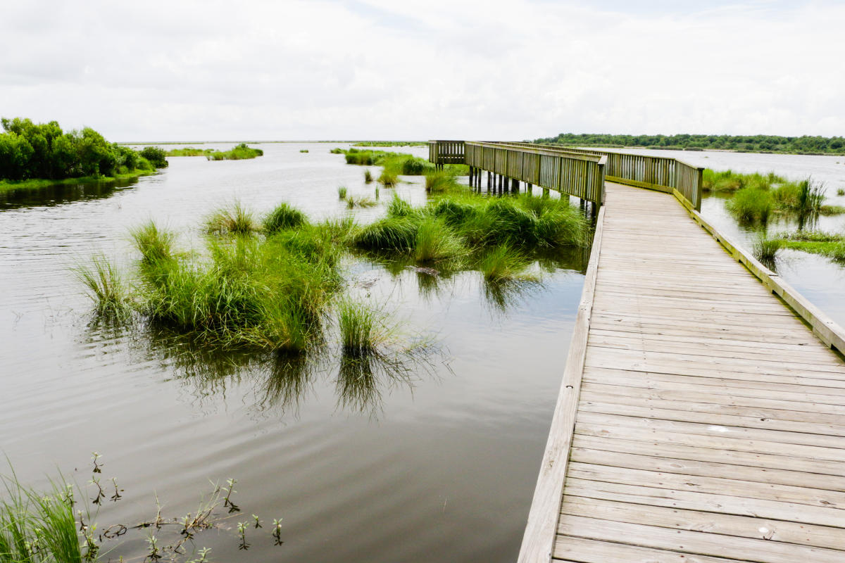 Bayou Sauvage National Wildlife Refuge Trail