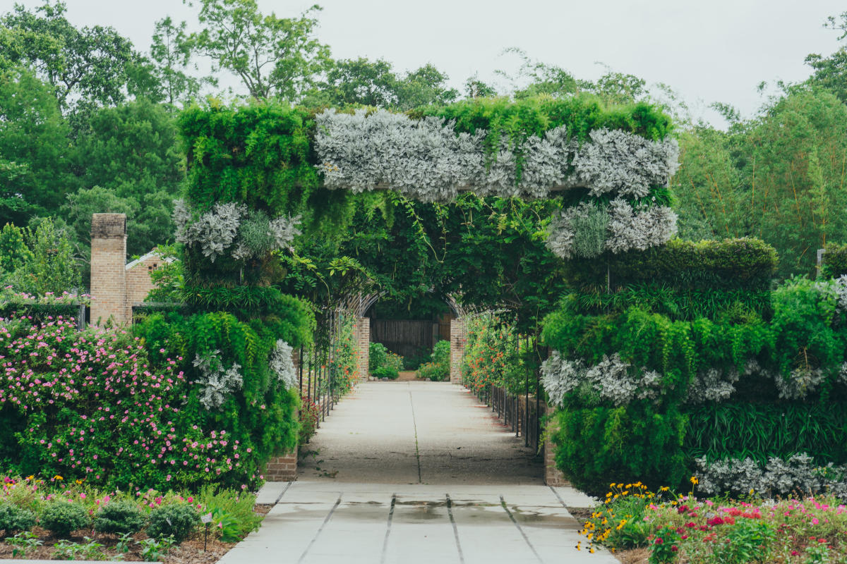 botanical garden 　　no1 BotanicalGardens_ZackSmith030-