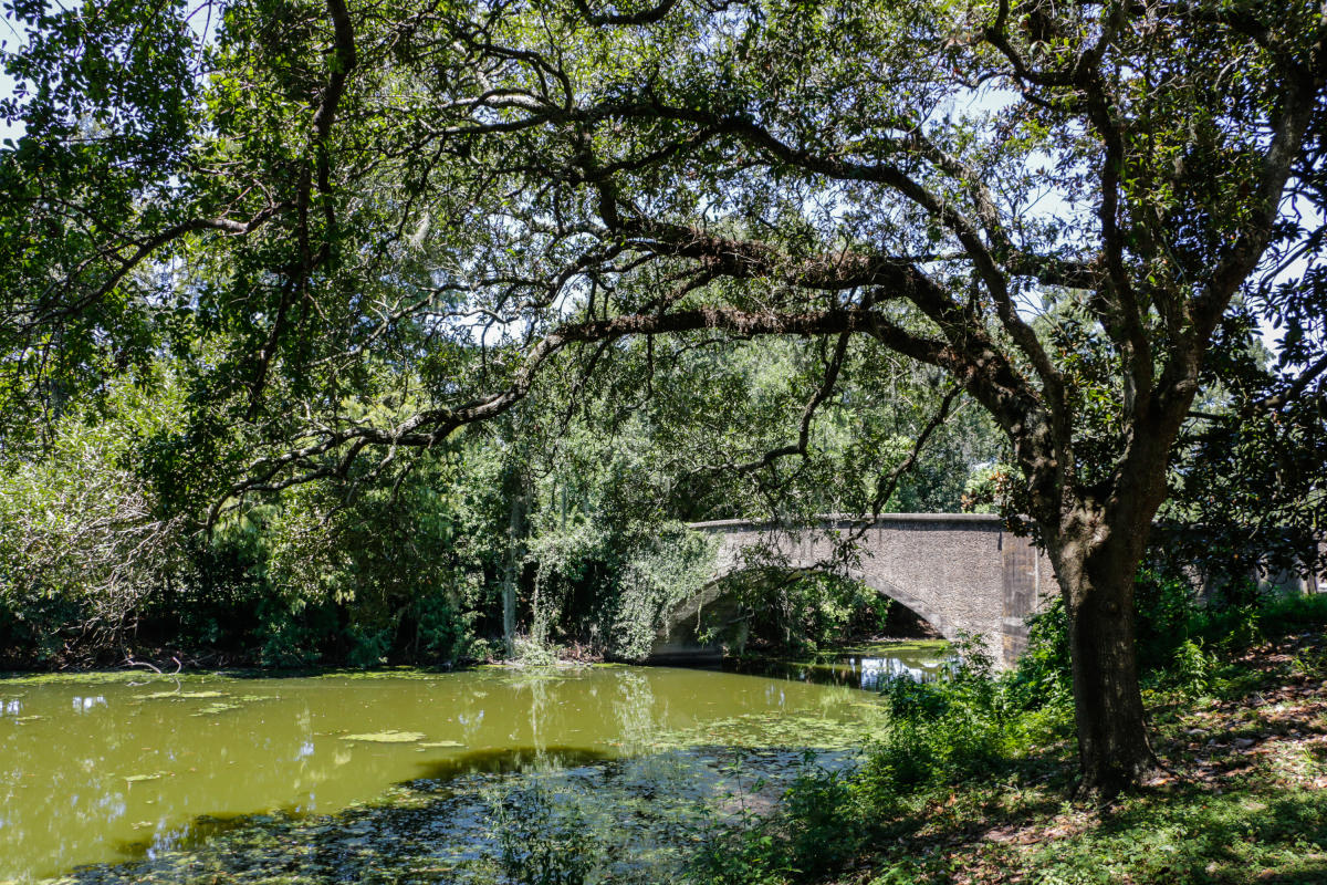 Audubon Park