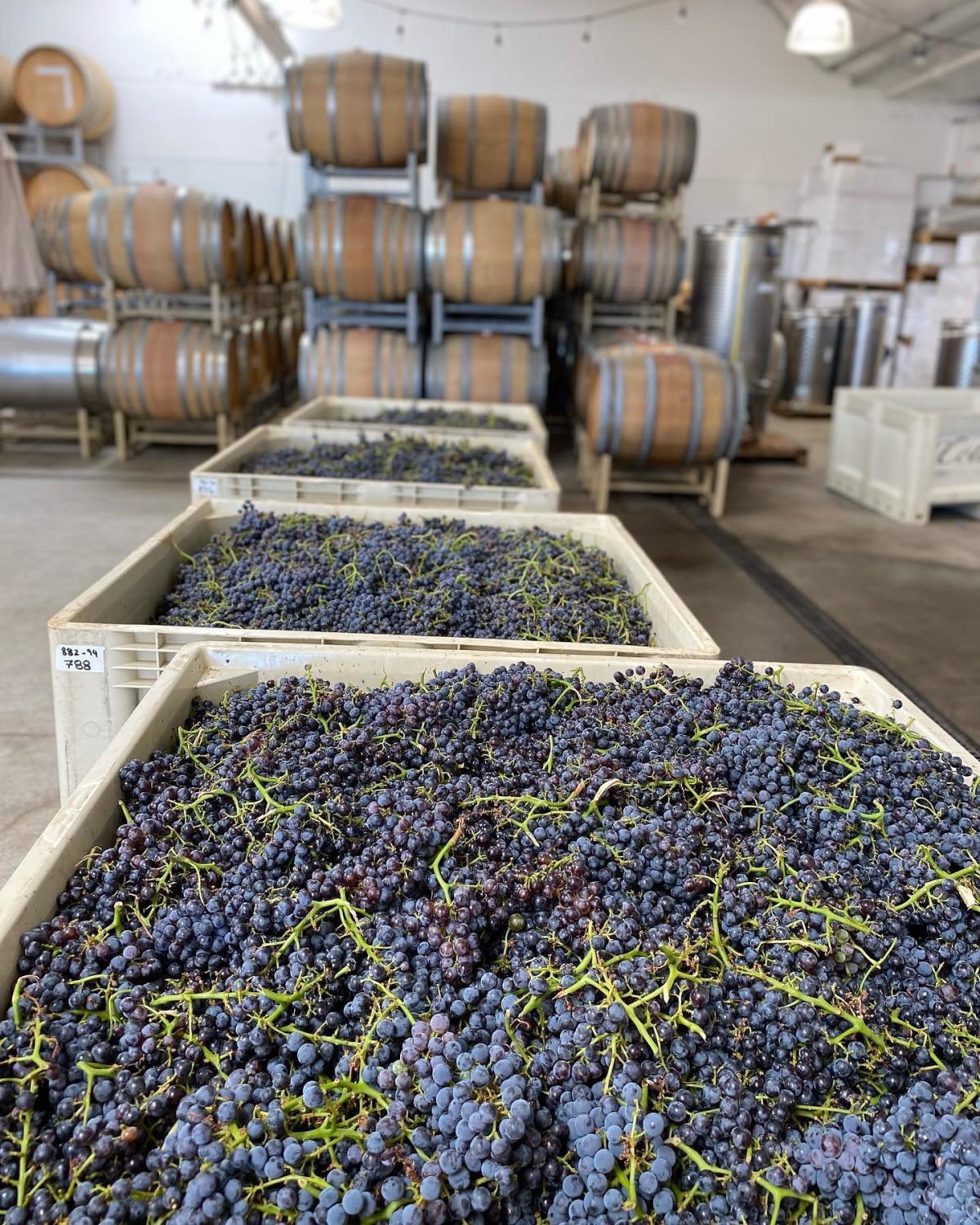 Cote West Winery | Oakland, CA