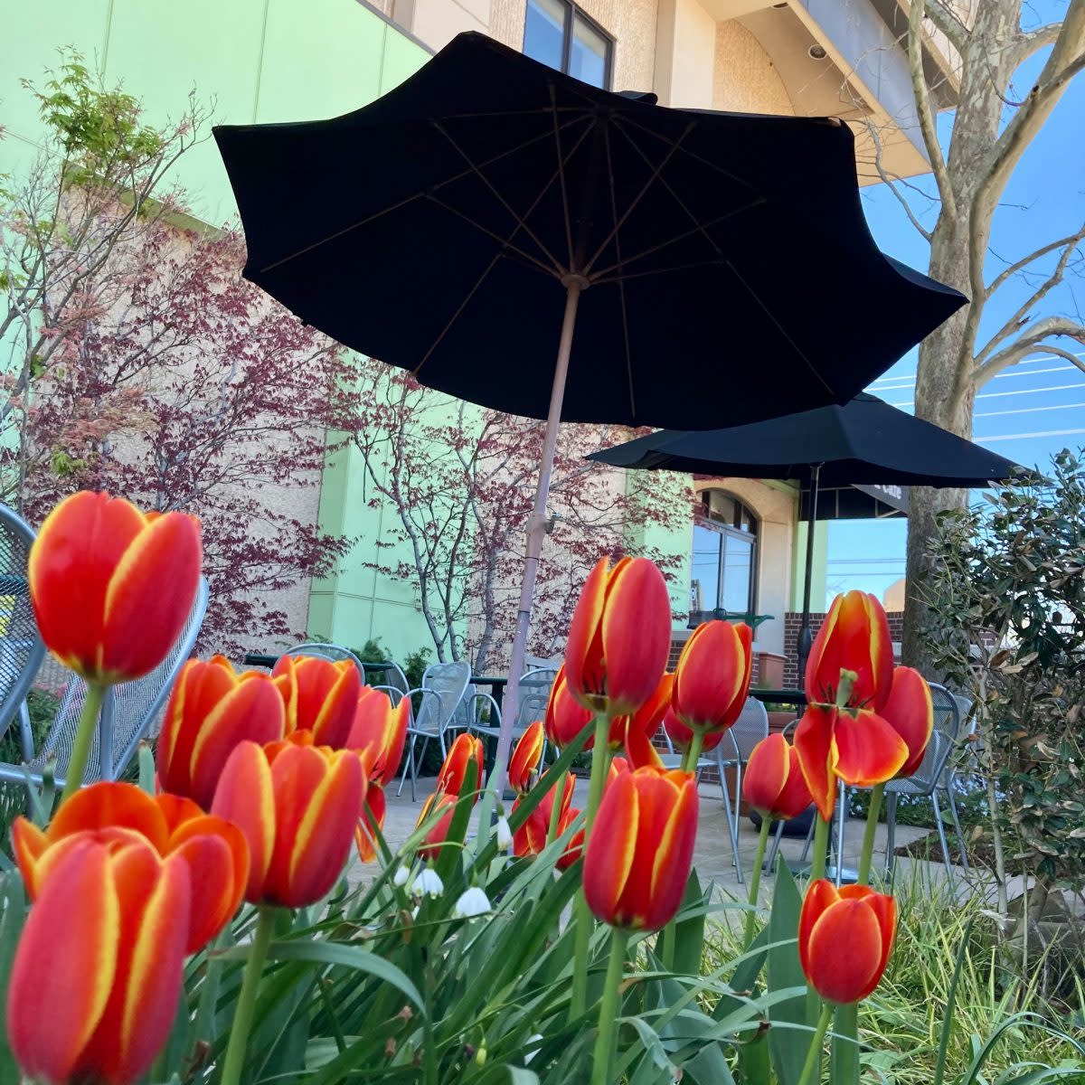 Outside-The-Garden-Cafe-