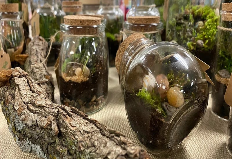 Mossarium - ~ Moss Terrarium Workshop ~🌱 Learn basic foundation on  building a sealed type terrarium with various type of moss, decorating  sands and stones. Terrarium theme: Moss Terrarium with water feature.(as
