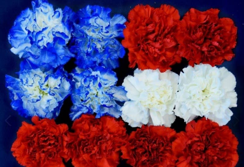 Hy Vee Flower Delivery Omaha Ne Best Flower Site