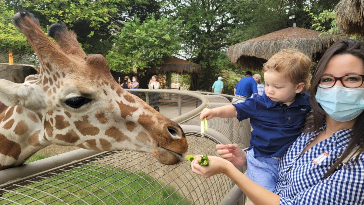 Giraffe giraffe what will you wear today (Em Portugues do Brasil)