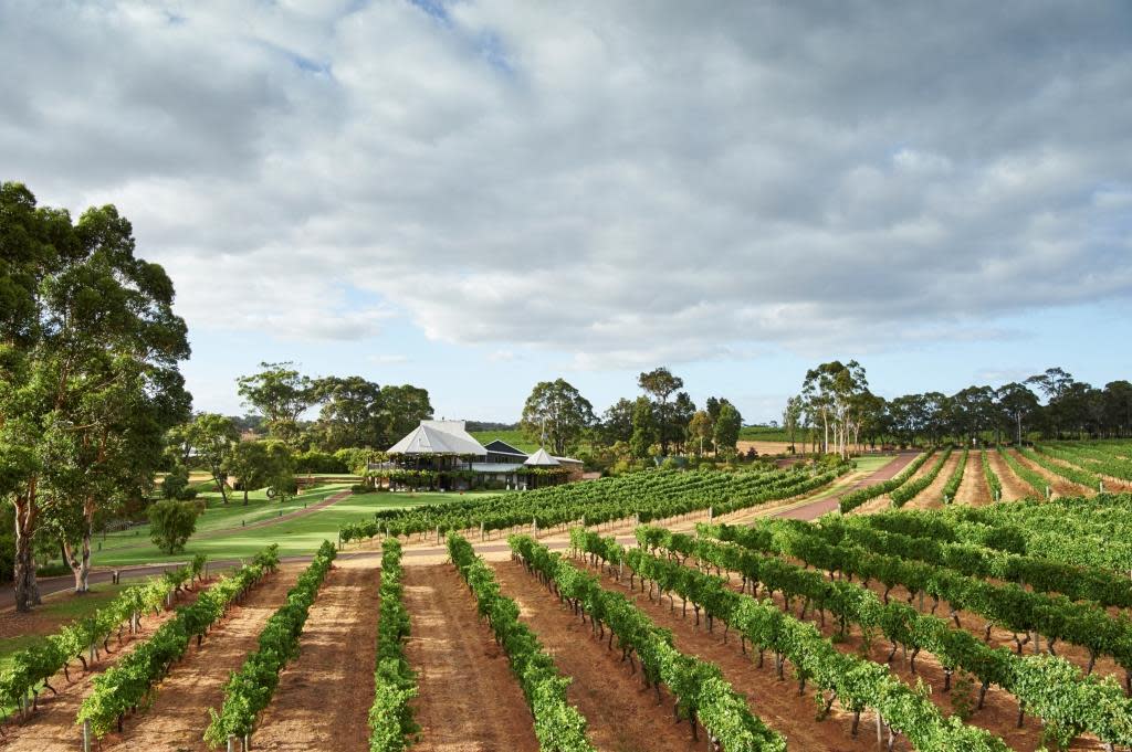 Vasse sales felix restaurant
