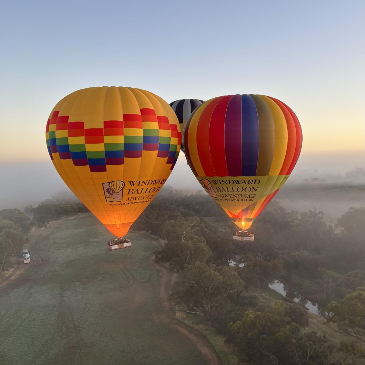 Ballooning perth discount