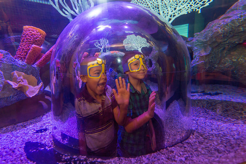 Mall of America - SEA LIFE Aquarium on Level 1, East has