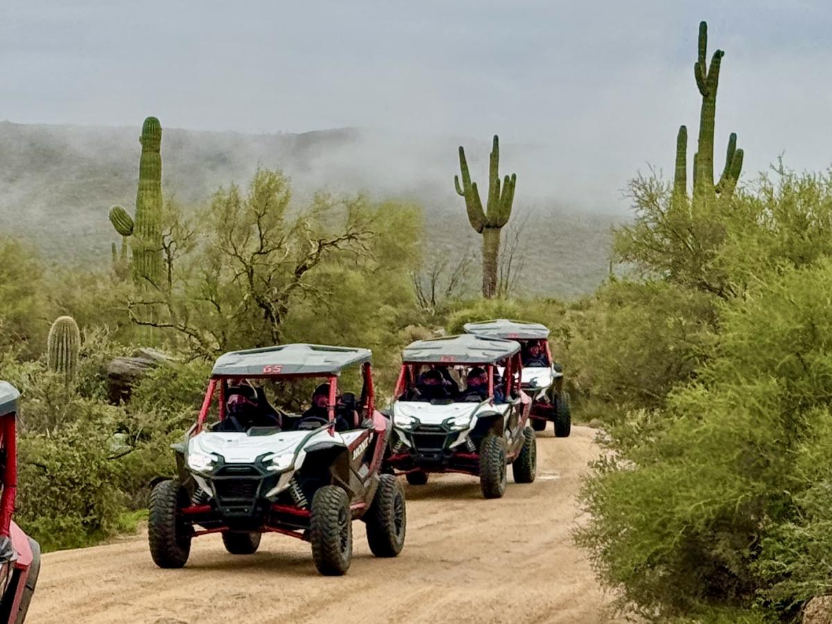 Desert Monsters Tours - Scottsdale AZ, 85254