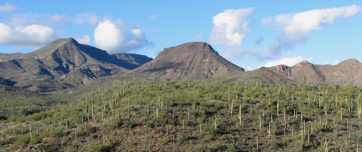 Spur Cross Ranch Conservation Area - Cave Creek AZ, 85331