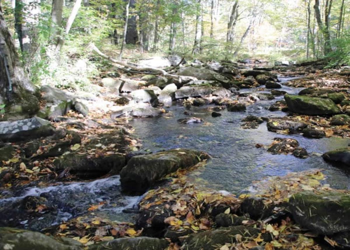 Paradise Falls, Pocono Mountains, Pennsylvania