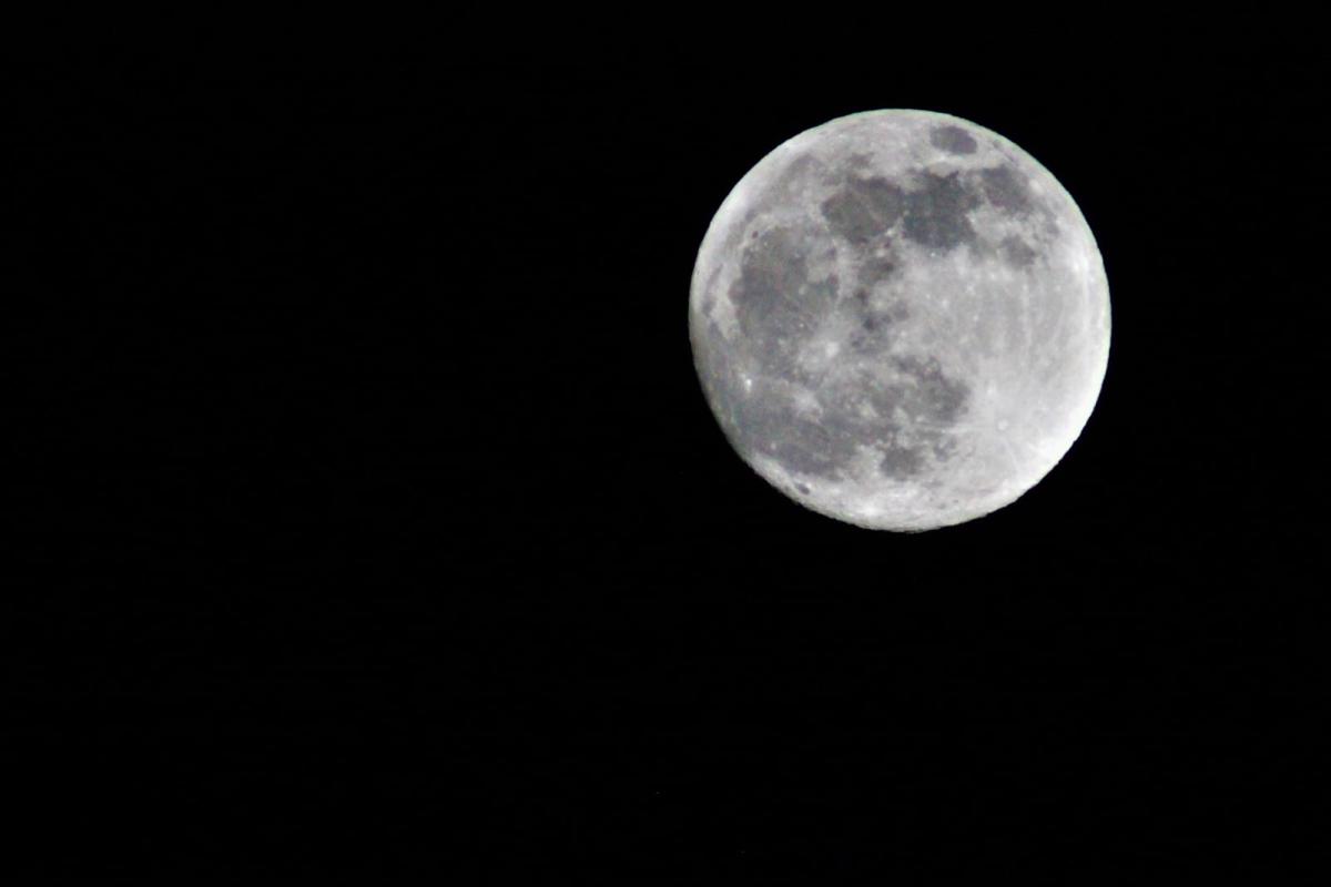 Full Moon Hike | Pocono Environmental Education Center | Dingmans