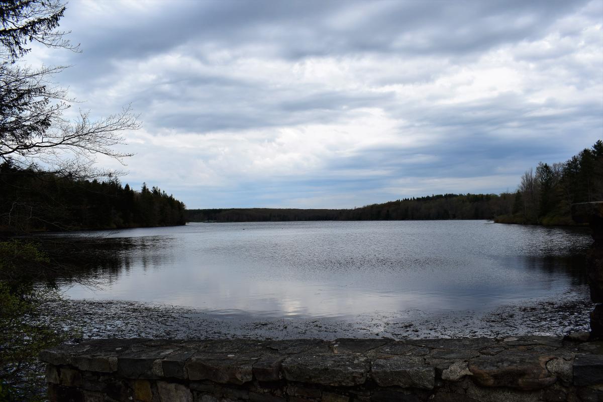 A Guide to Promised Land State Park in the Poconos, PA – ESCAPE BROOKLYN