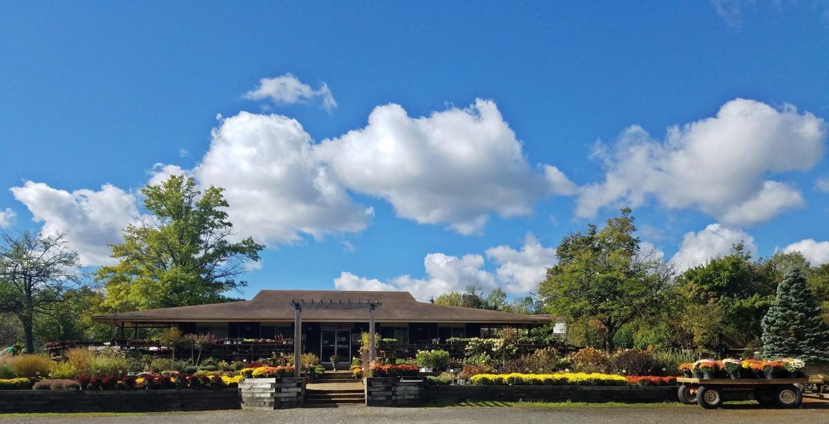 Four seasons landscaping deals