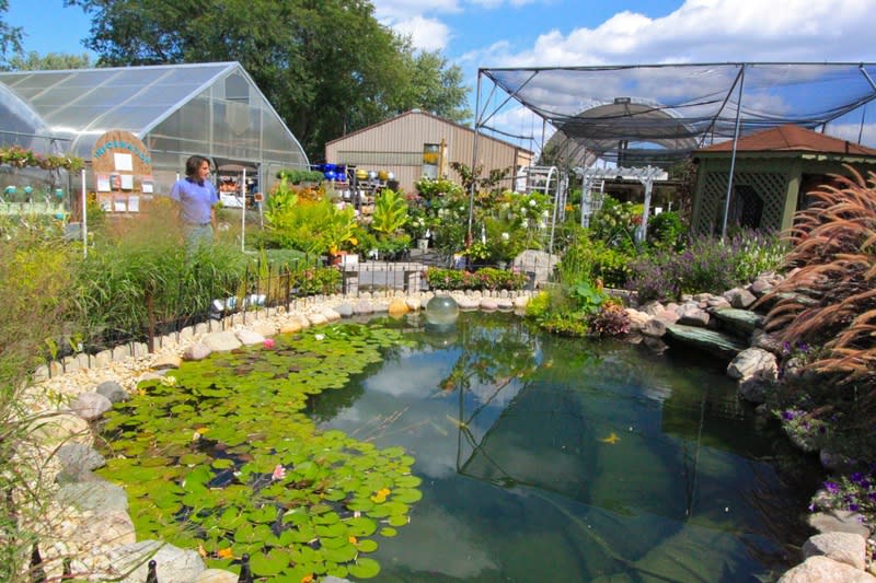 Chesterton Feed And Garden Fasci Garden