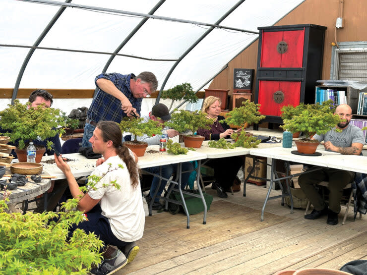 Bonsai Essentials 1: Beginner Workshop with Peter Olson