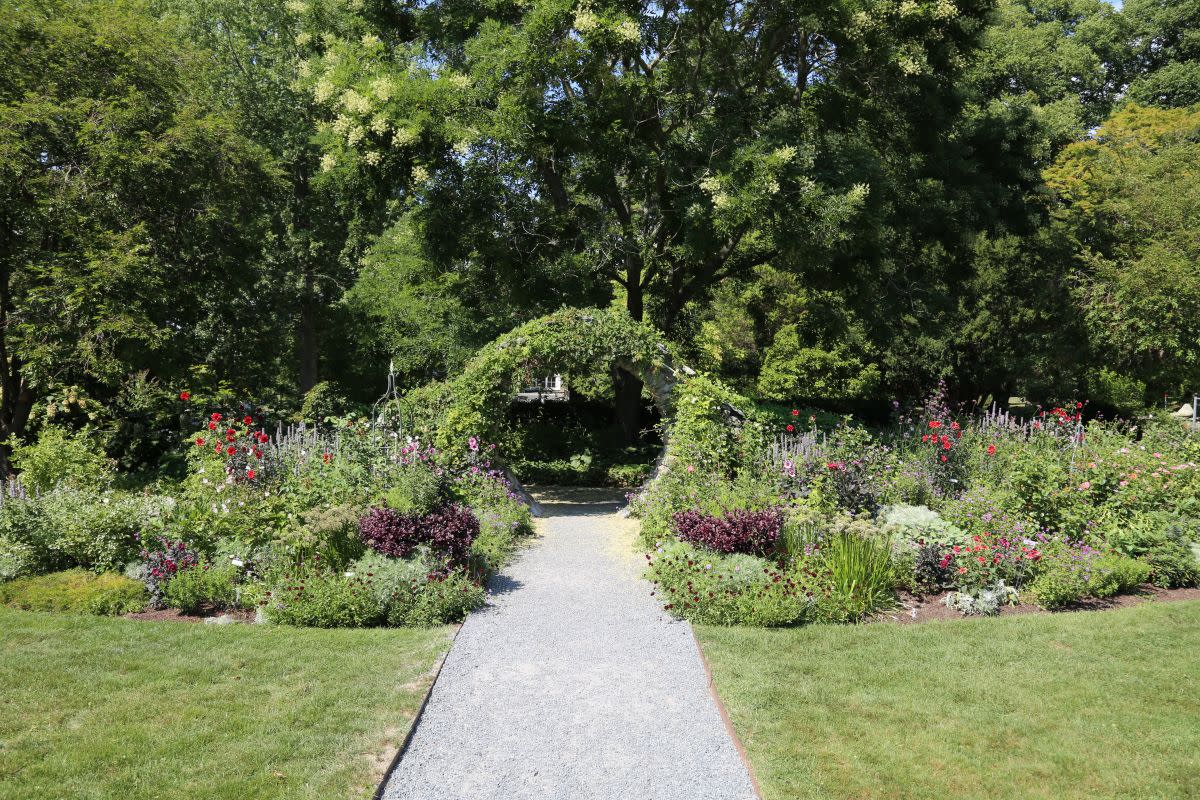 Blithewold Mansion Gardens Arboretum