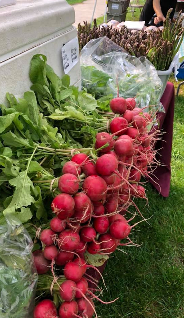 Hope Street Farmers Market Providence, RI 02906
