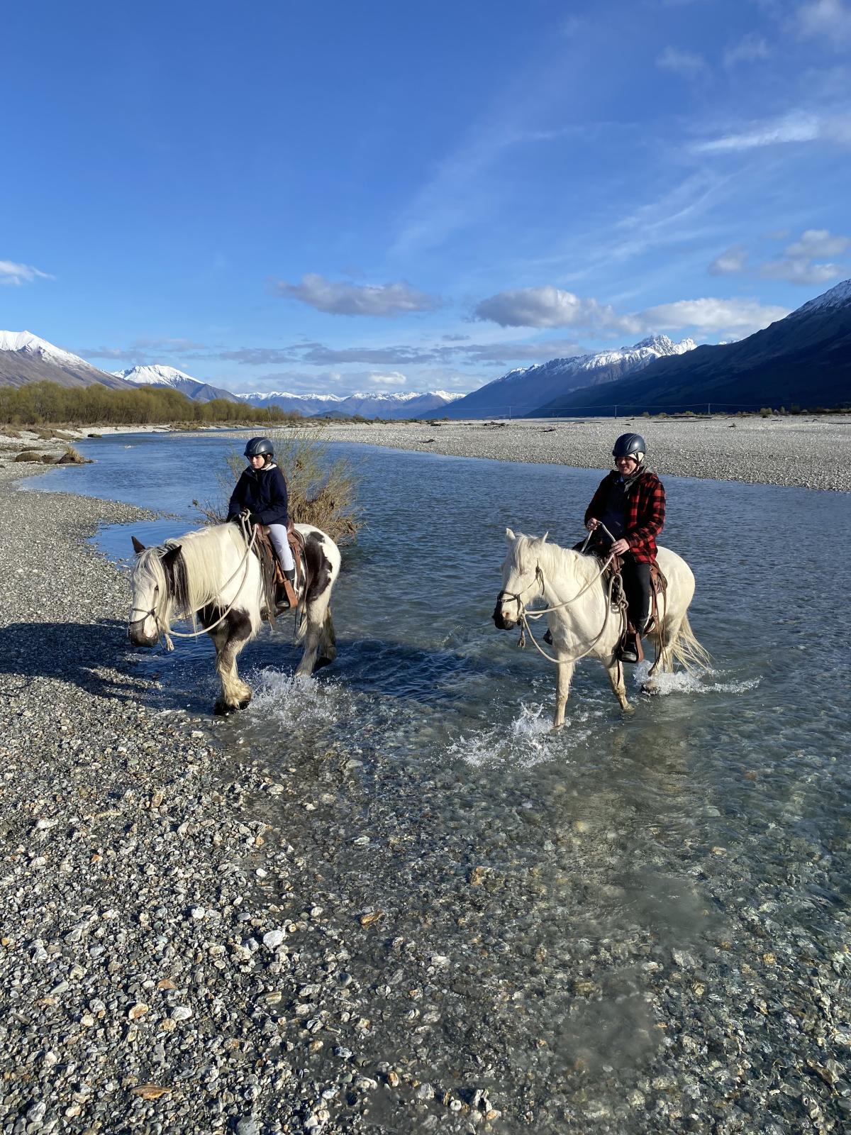 Mountain horse easy rider discount