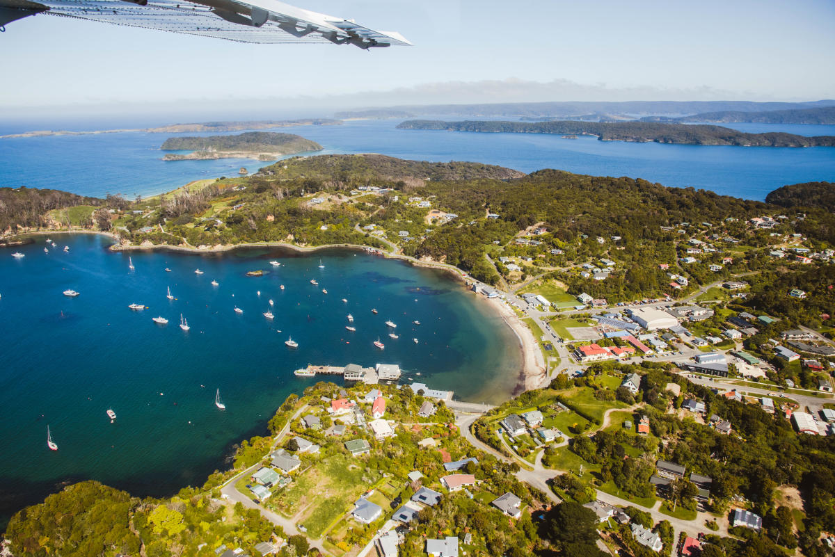 Stewart Island Ultimate Day Experience Official Queenstown site