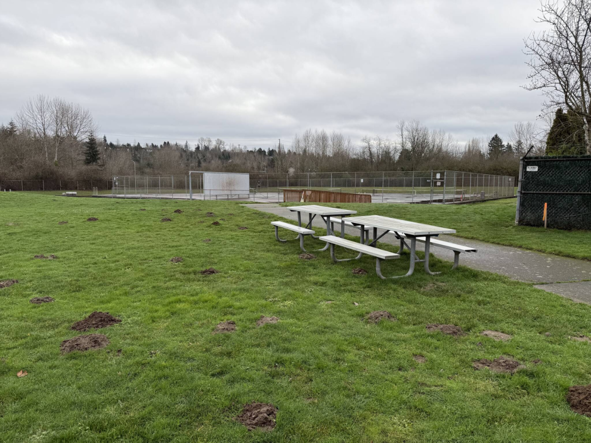 Talbot Park Renton Talbot Hill Reservoir Park | Renton, WA