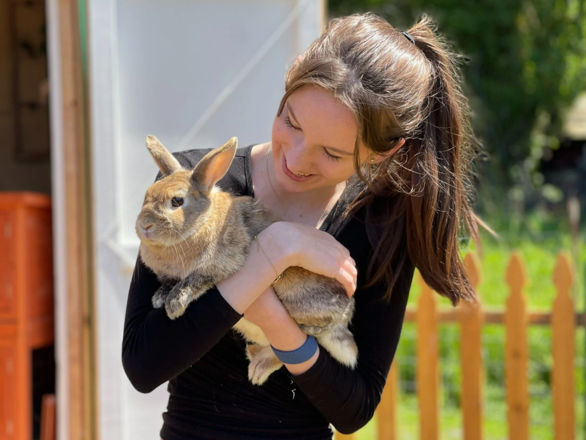 Entod Animal Sammamish Animal Sanctuary | Renton, WA