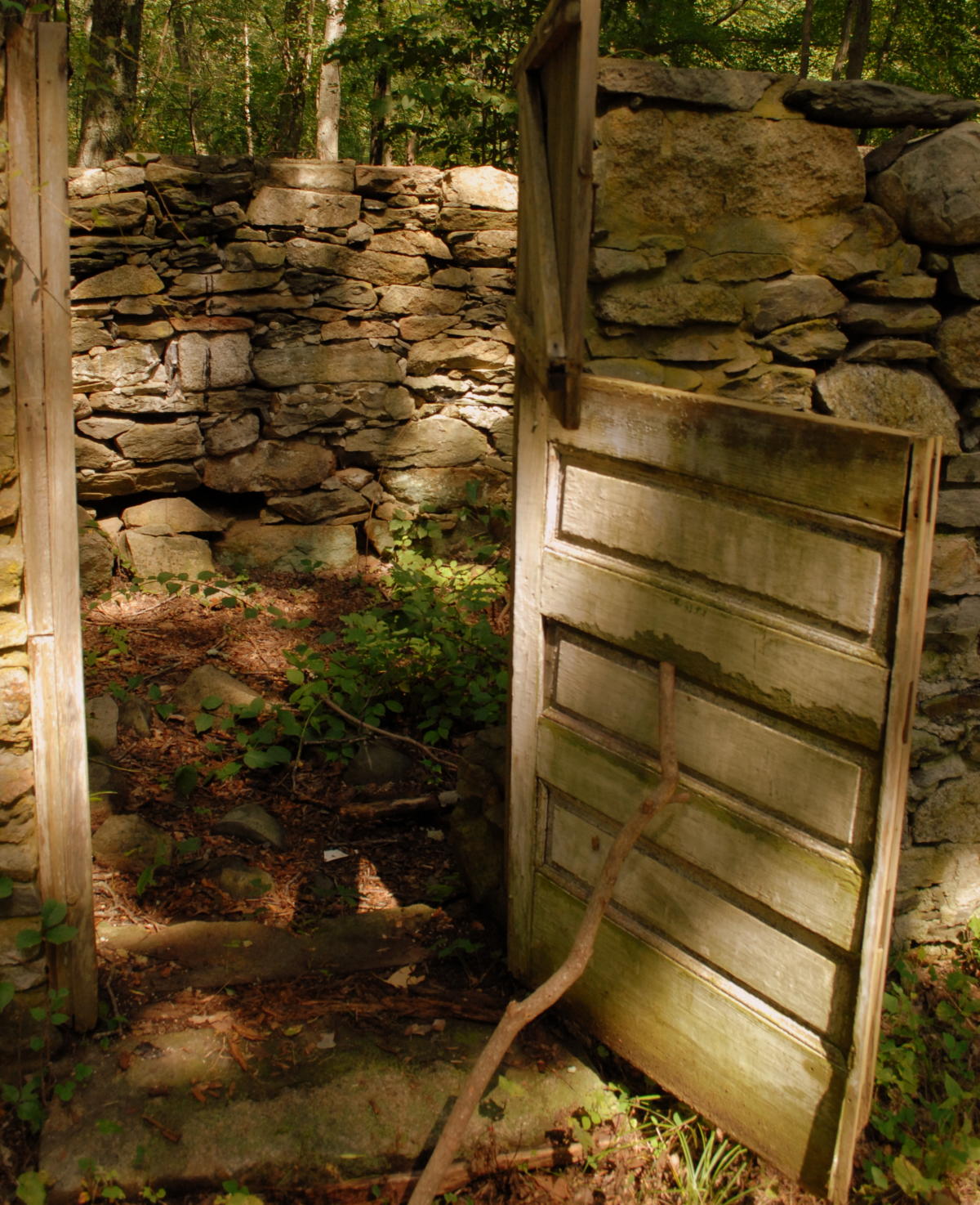 Briggs Boesch Farm East Greenwich, RI 02818