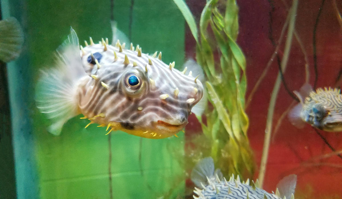 Exploration Center & Aquarium — Save The Bay Newport, RI 02840